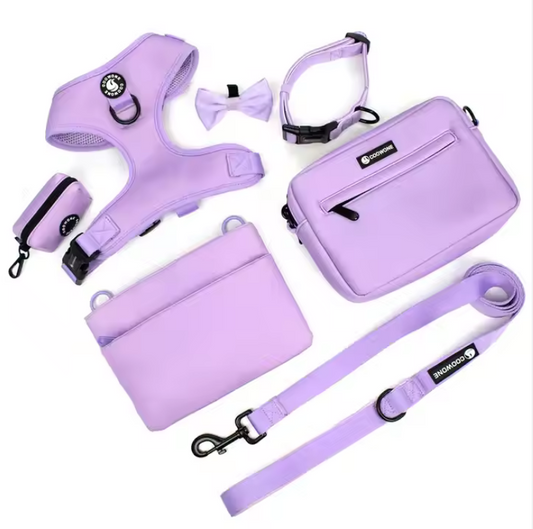 Dog Pet Training Supplies